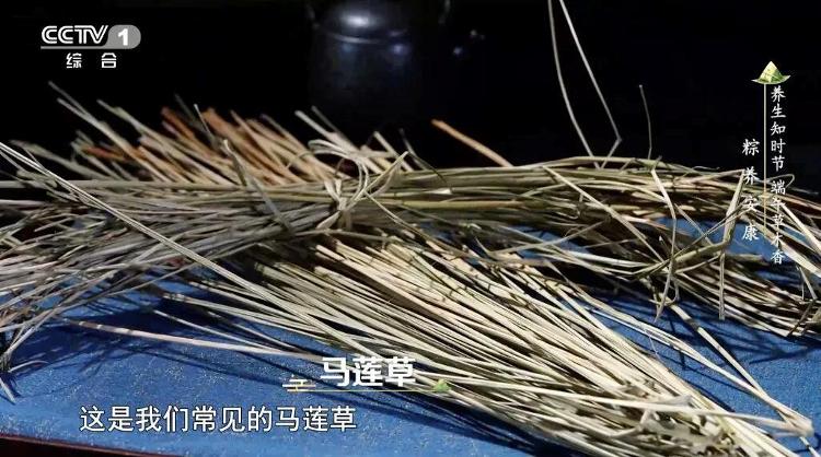 40周年纪念 《三国志14》终极完整版上架Steam 全DLC打包