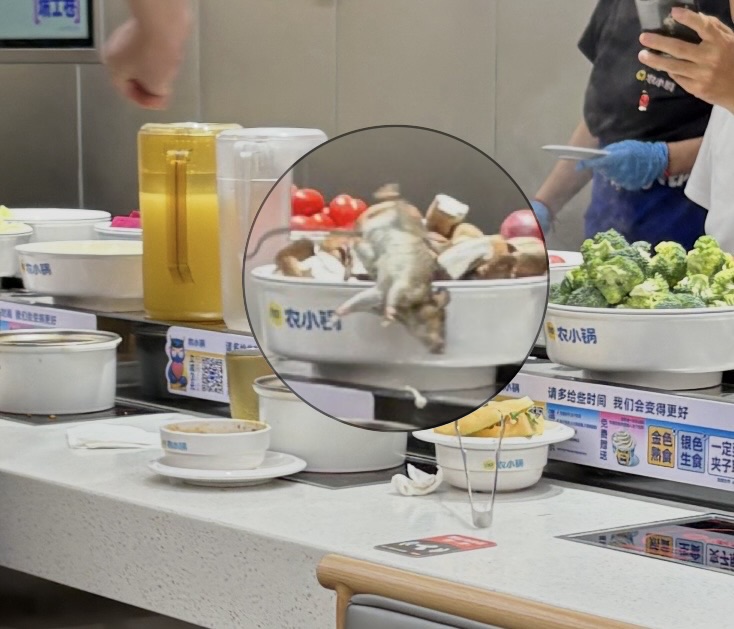 上海一火锅店“天降”老鼠掉入菜盘 餐厅所在商场：要求所有商户定时消杀
