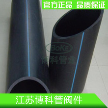 美国91岁老人359天走3530公里破纪录:自己统计摔倒71次曾入院