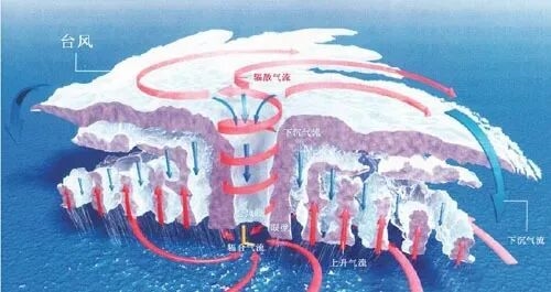 阿里高管:AI是女性创业就业的黄金年代